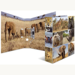 Ordner A4 breit Afrika