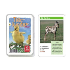 Quartett Tierkinder