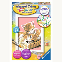Malen nach Zahlen Katzenbabys