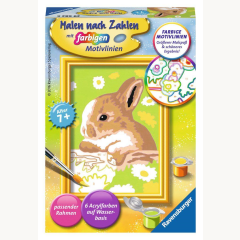 Malen nach Zahlen F Häschen Flecki