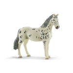 13910 Knabstrupper Stute