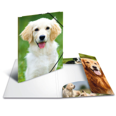 Sammel-/Gummizugmappe A3 Hund matt