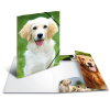 Sammel-/Gummizugmappe A3 Hund matt