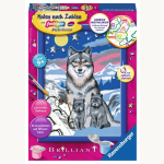 Malen nach Zahlen  Wölfe