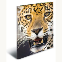 Sammel-/Gummizugmappe A4, PP Tiger