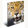 Sammel-/Gummizugmappe A4, PP Tiger