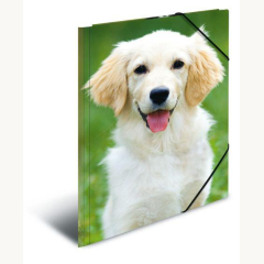 Sammel-/Gummizugmappe A4, PP Hunde