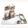 Sammel-/Gummizugmappe A4, PP Katzen
