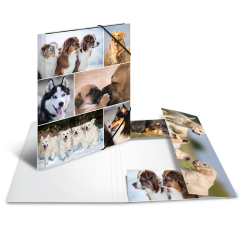 Sammel-/Gummizugmappe A3 Hunde Karton
