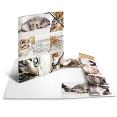 Sammel-/Gummizugmappe A3 Katzen Karton