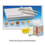 Mitbring-Experimente Fossilien