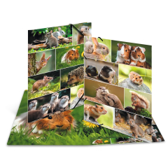 Sammel-/Gummizugmappe A3 Nagetiere