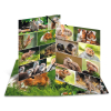 Sammel-/Gummizugmappe A3 Nagetiere