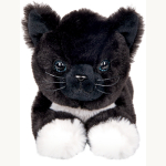 Liegender Kater Jack