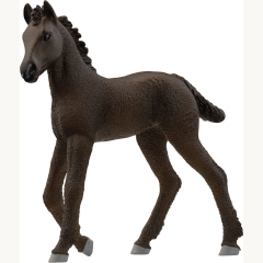13977 Friese Fohlen
