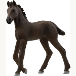 13977 Friese Fohlen