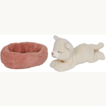 Schlafende Katze Penny im Korb