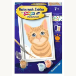 Malen nach Zahlen Niedliche Katze