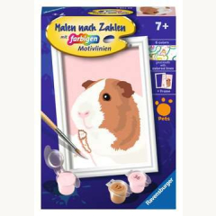 Malen nach Zahlen Niedliches Meerschweinchen