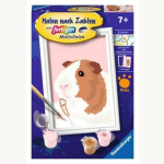 Malen nach Zahlen Niedliches Meerschweinchen