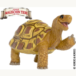 14910 Henrietta die Schildkröte