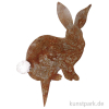 Hasenstecker. Krümel.
