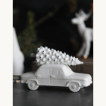 Winter Scheinchenhalter. Auto.