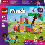 42640 Meerschweinchen Spielplatz