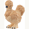 14891 Seidenhuhn