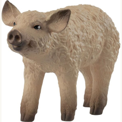 14893 Wollschwein Ferkel