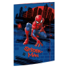 Sammel-/Gummizugmappe A3 karton Spiderman