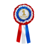 HOBBY HORSES ROSETTES FOR HORSE