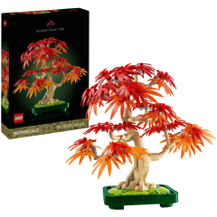 10348 Botanical Japanischer Roter Ahorn – Bons
