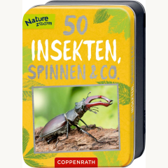 50 Insekten, Spinnen & Co.
