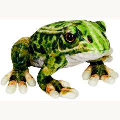 Nature Zoom Frosch