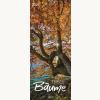 Bäume