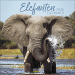 Elefanten