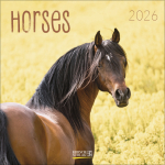 Horses