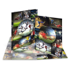 Sammelmappe A4 Fußball
