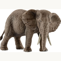 14761 Elefant afrikanische Kuh