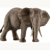 14761 Elefant afrikanische Kuh
