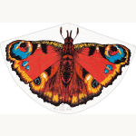 Drache Schmetterling