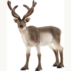 14837 Rentier 12cm