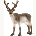 14837 Rentier 12cm