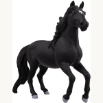 14918 Lusitano Hengst