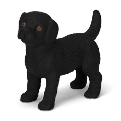14922 Schwarzer Labrador Retriever Welpe