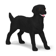 14923 Schwarze Labrador Retriever Hündin