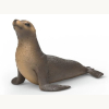14933 Seelöwe