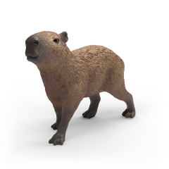 14934 Capybara