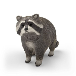 14937 Waschbär